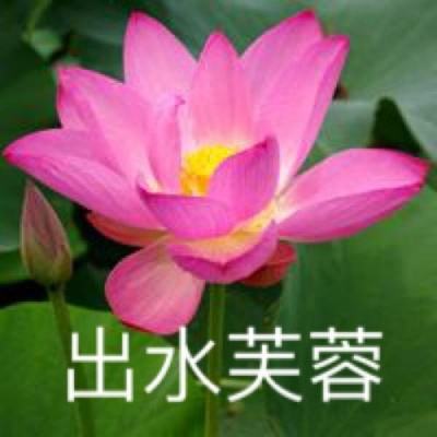 雷霆霸业变态版下载